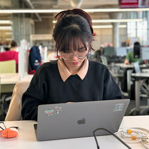 Meet your Posher, Linh